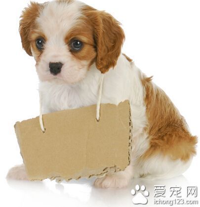 高中生篮球爱好者的心理调适方法_0